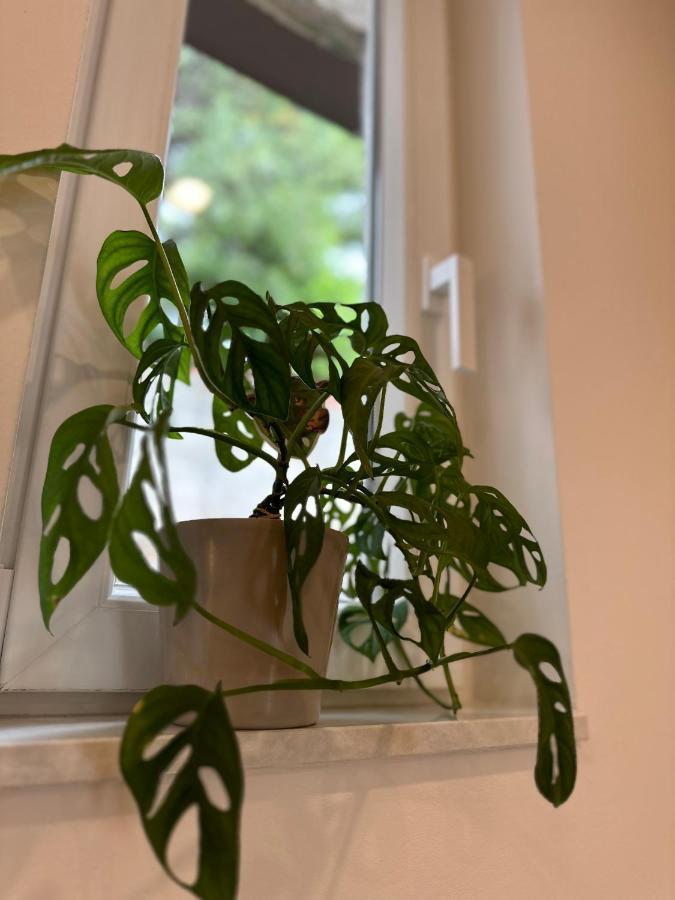 Olive View Apartment Brela Zewnętrze zdjęcie