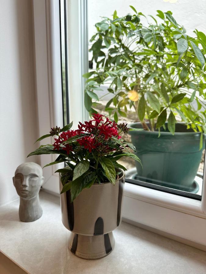 Olive View Apartment Brela Zewnętrze zdjęcie